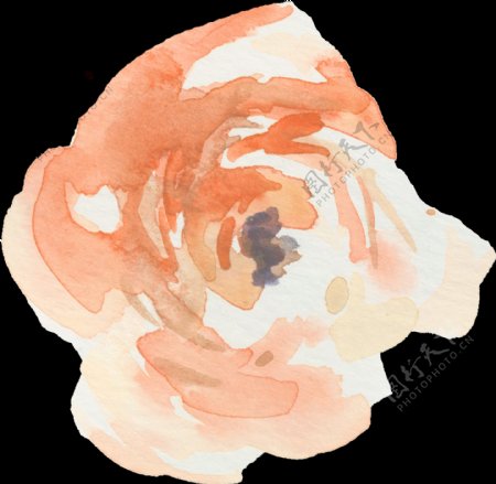 手绘水彩橙色花朵png透明素材