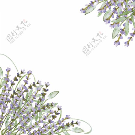 梦幻花卉卡通透明素材