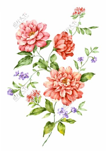 粉色手绘花朵png元素素材
