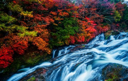 瀑布秋季树苔大自然