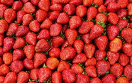 新鲜草莓批发图片素材