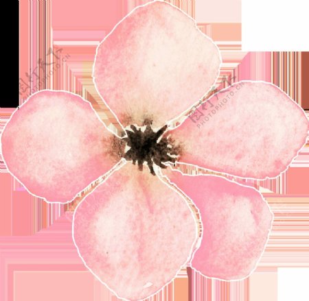 粉色优美花瓣卡通透明装饰素材
