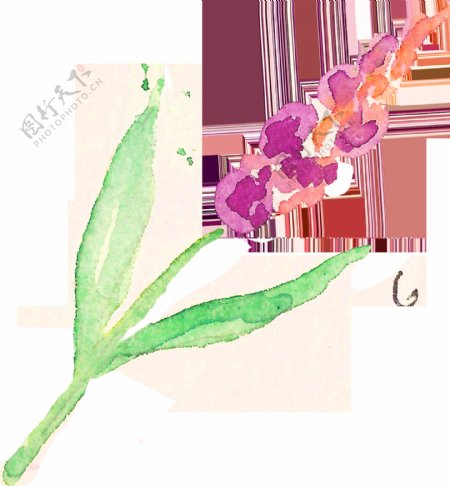 绘画花卉植物卡通透明装饰素材