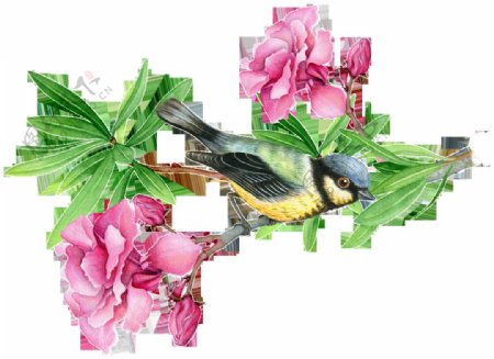 粉嫩花卉与小鸟卡通透明素材