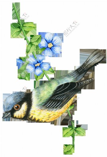 清新小鸟与花卉卡通透明素材
