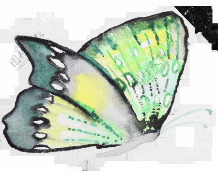 黑边蝴蝶卡通透明装饰素材