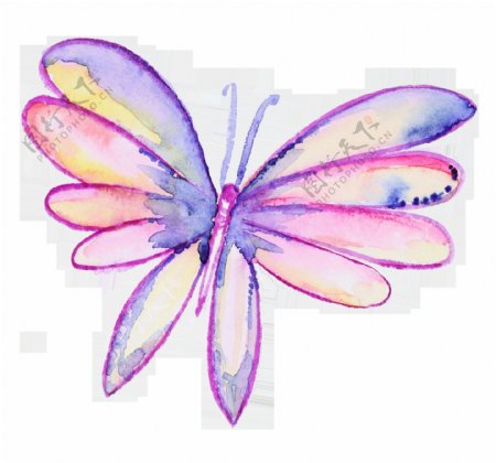 圆翅蝴蝶卡通透明装饰素材