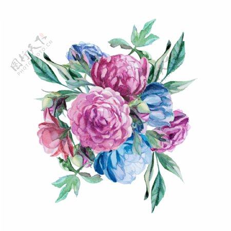 紫馨玫瑰卡通透明装饰素材