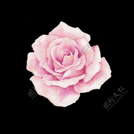 粉色唯美文艺手绘花装饰png透明素材