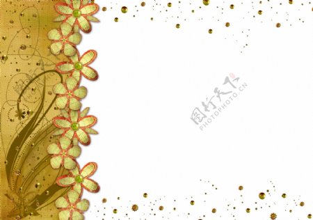 金黄色花卉边框免抠psd透明素材