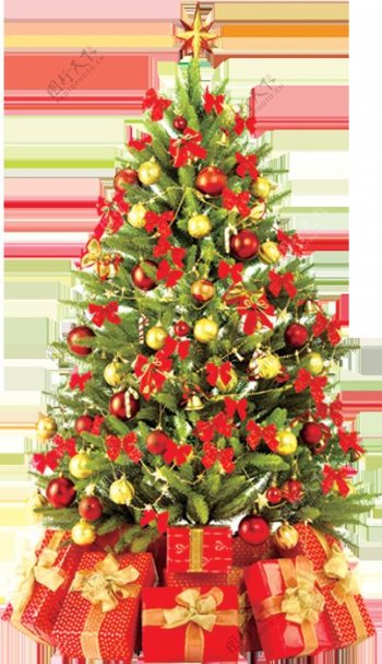 挂满红色圣诞装饰和礼物的圣诞树元素