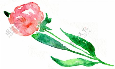 可爱粉色花卉卡通透明素材