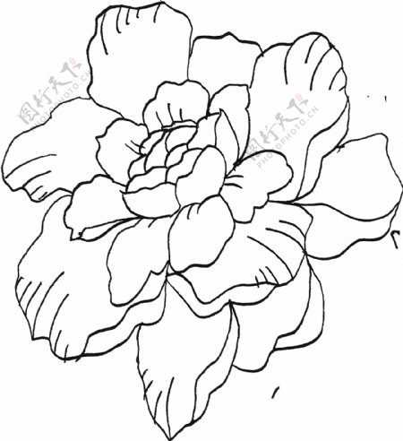 妩媚手绘花卉卡通透明素材