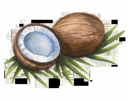 热带水果椰子卡通透明素材