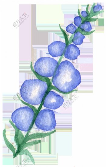 紫白果叶卡通水彩透明素材