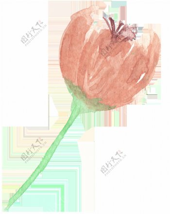 棕红花束卡通透明素材