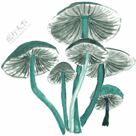 蘑菇丛林卡通透明素材