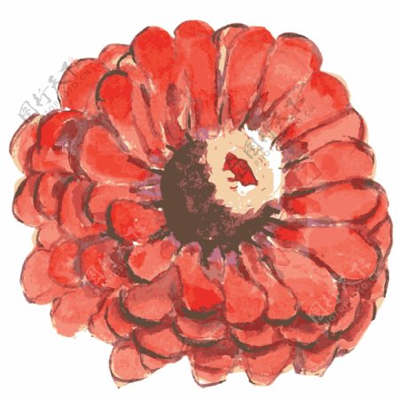 大红盛开花朵卡通透明素材