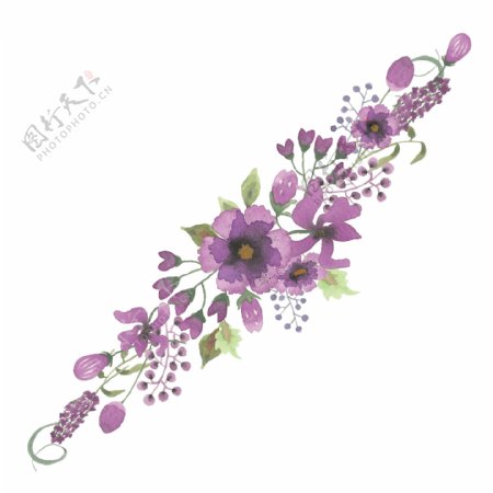 紫色系植物花卉卡通透明素材