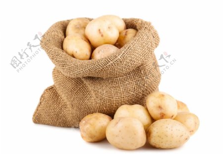 新鲜的麻袋土豆