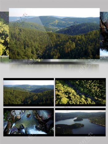 自然保护区风景美丽景色视频素材