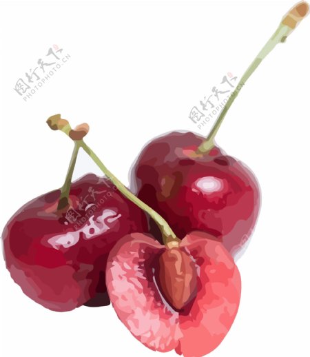 插画手绘红色车厘子水果素材水果元素