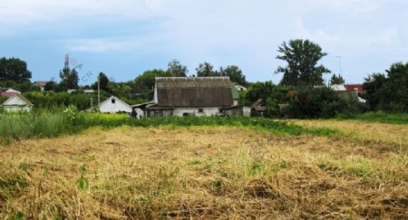 野草草地