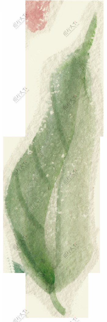 灿绿花叶透明装饰素材