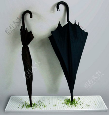 绿色植物的雨伞架