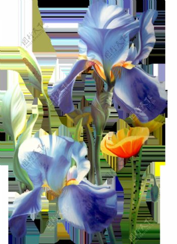 蓝色花朵png元素