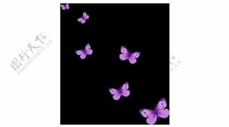 清新紫色蝴蝶元素