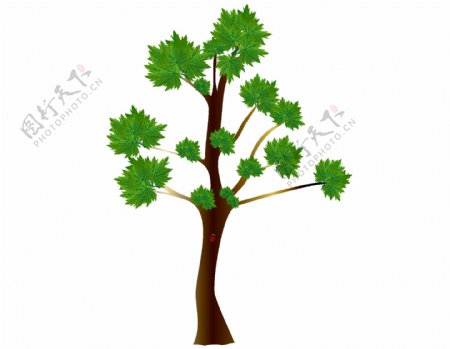 绿色枫树卡通插画png元素