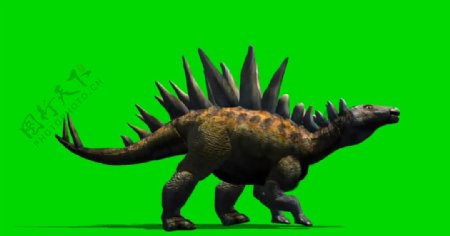 恐龙怪兽绿屏抠像视频素材