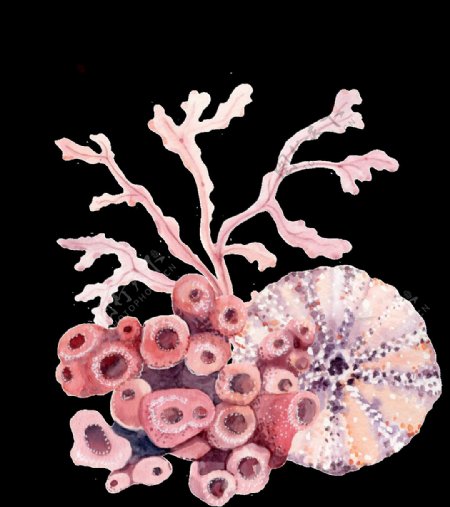 手绘奇特的珊瑚png透明素材