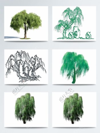 手绘柳树中国风图案