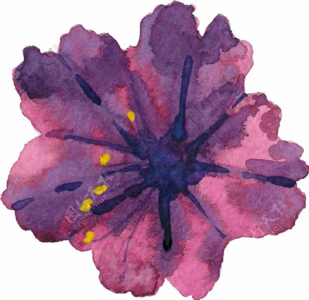 手绘紫色木槿花PNG透明素材