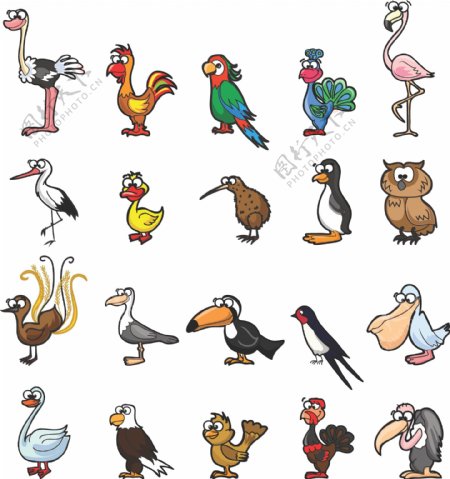 手绘卡通版各种鸟类