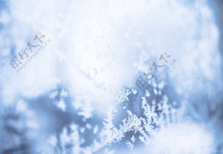 冬季雪花冰晶背景图