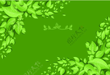 绿色树叶自然海报背景