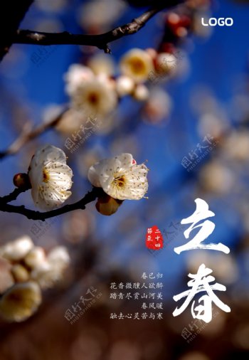 美丽花卉立春节气海报模板