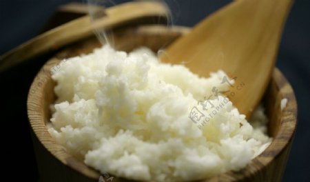 营养主食米饭
