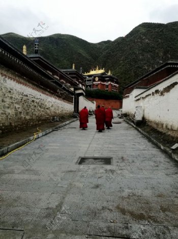 藏教寺庙
