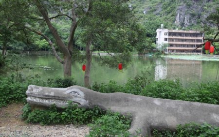 陆川龙珠湖鳄鱼景角