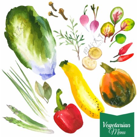 水彩绘新鲜蔬菜插画
