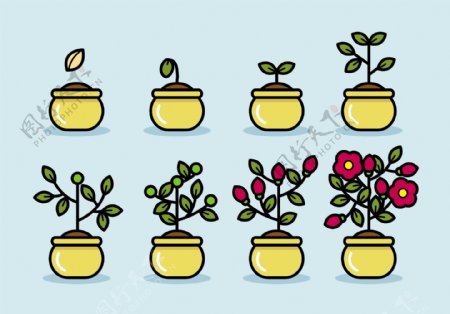 手绘矢量植物生长过程插画