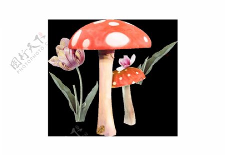 卡通蘑菇花朵png元素