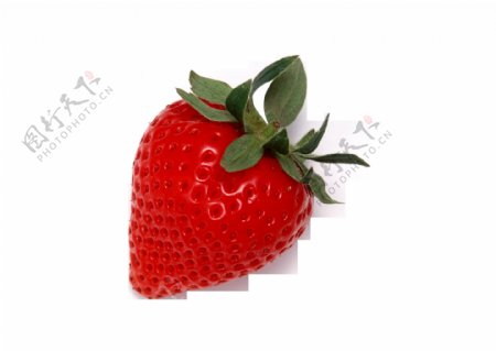 红色草莓png元素