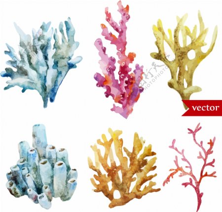 时尚水彩绘珊瑚插画