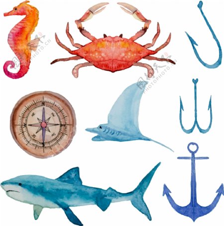 水彩绘海洋生物插画