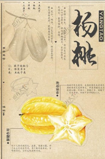 水果之王杨桃中国风海报
